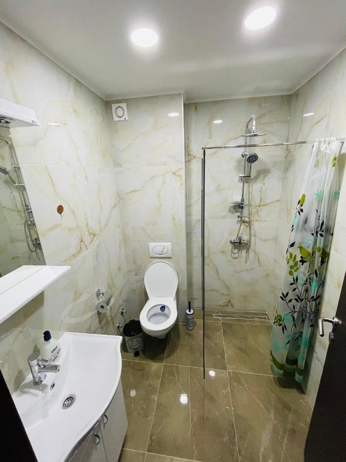 Apartmani Zivkovic Srebrno Jezero Veliko Gradište المظهر الخارجي الصورة